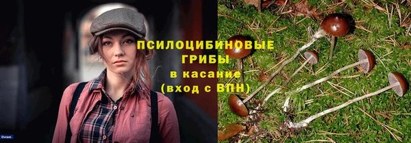 марки lsd Новодвинск