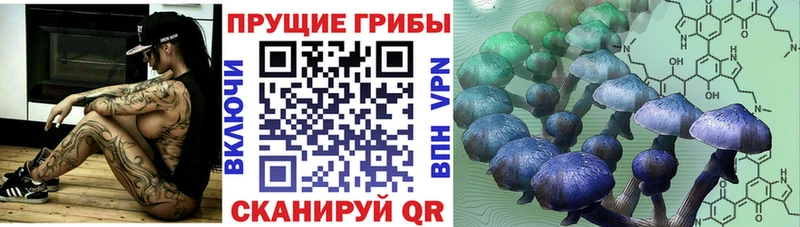 Галлюциногенные грибы Magic Shrooms  Нягань 