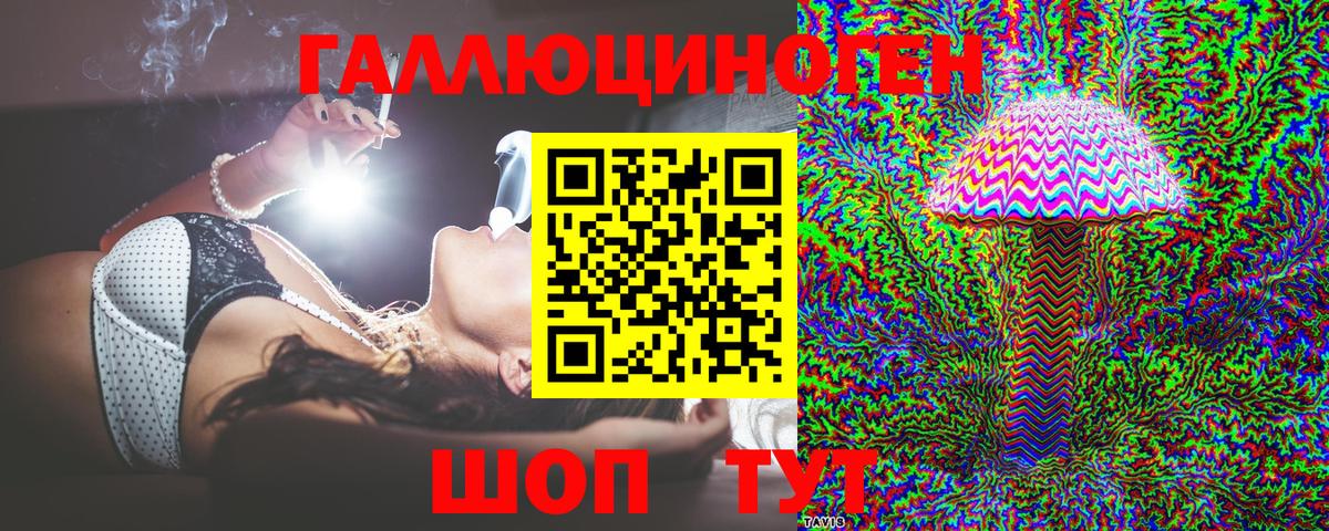 Галлюциногенные грибы Psilocybine cubensis Нягань