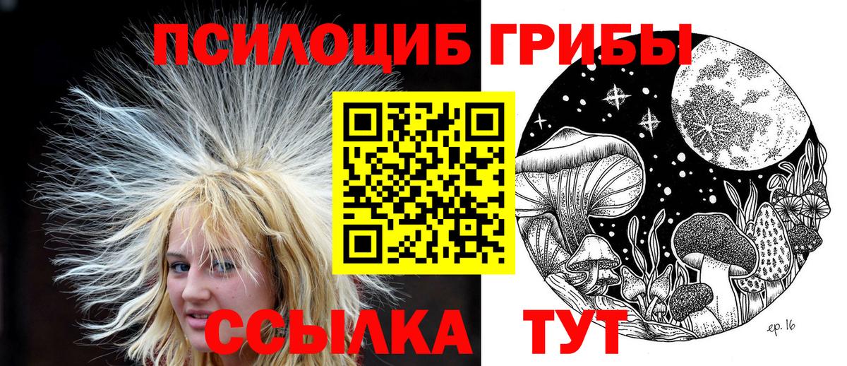 Псилоцибиновые грибы Psilocybine cubensis  Нягань 