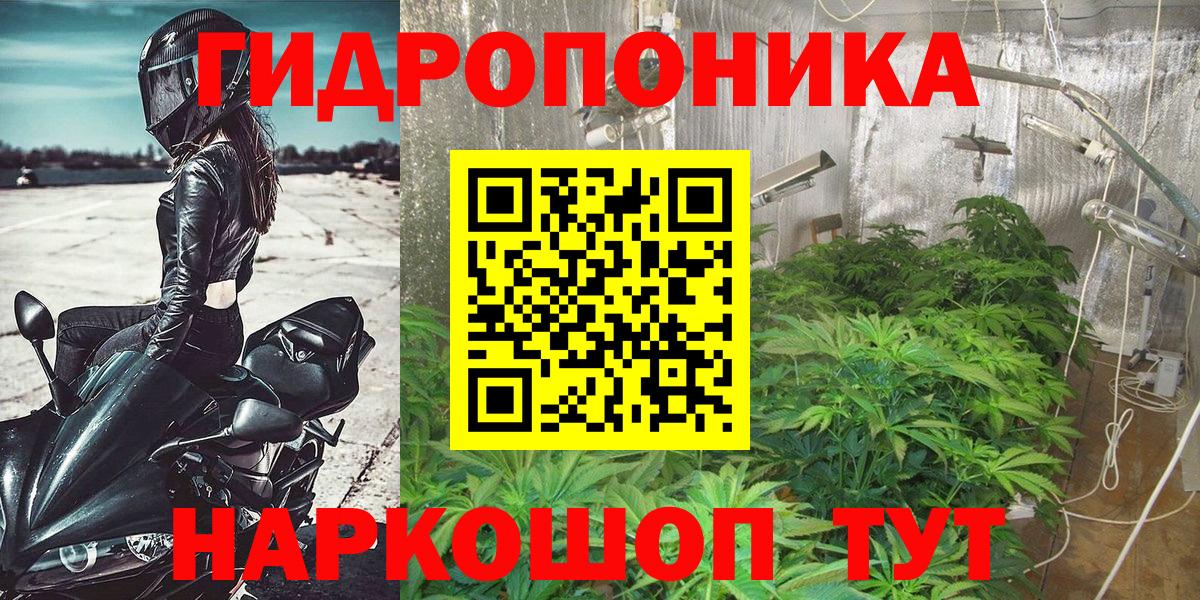 Бошки марихуана AK-47  МАРИХУАНА гибрид  Нягань  Вход с VPN  Конопля White Widow 